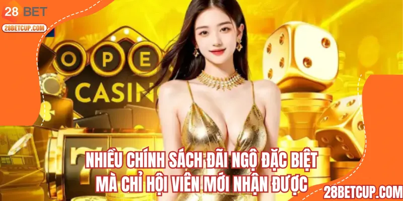 Nhiều chính sách đãi ngộ đặc biệt mà chỉ hội viên mới nhận được